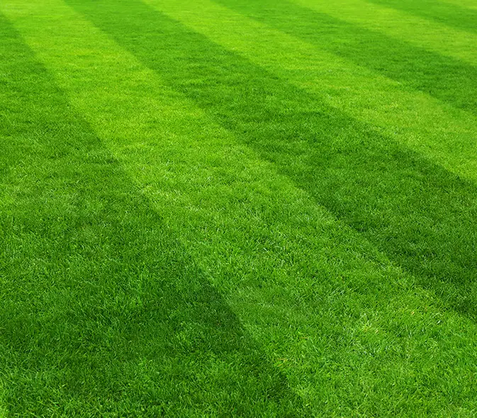 lawn collinsville il