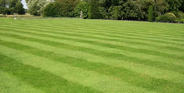 lawn mowing troy il